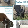 GPS трекер на солнечной батарее для коров, лошадей, крупного рогатого скота и других крупных животных, модель RF-V26 | Фото 2