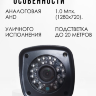 Аналоговая AHD 1.0MP камера видеонаблюдения уличного исполнения, NA-261 | Фото 2