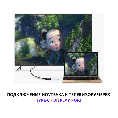 Купить переходник OLCAM с Type-C (папа) на DisplayPort (мама) в г ...