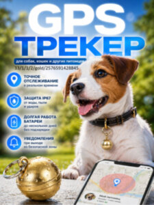 GPS трекер - ошейник для кошек и собак, G15 (золотой) 