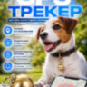 GPS трекер - ошейник для кошек и собак, G15 (золотой) | фото 1