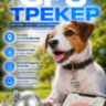 GPS трекер - ошейник для кошек и собак, G15 (серебряный) | фото 1