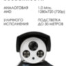 Аналоговая AHD 1.0MP камера видеонаблюдения уличного исполнения, AK-100-2  | фото 2