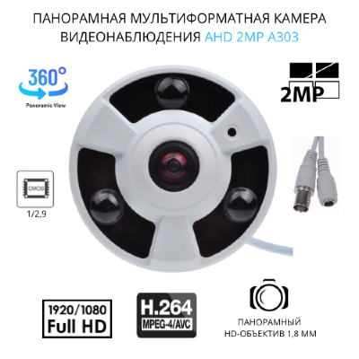 Жезөкше Лариса Прага, Мәскеу шолулары