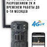 4G Фотоловушка с разрешением 2K и временем работы до 6-ти месяцев, OLCAM H2 | Фото 1