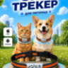 GPS трекер - ошейник для кошек и собак, G182 | фото 1 GPS трекер - ошейник для кошек и собак, G182 | фото 1