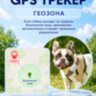 GPS трекер - ошейник для кошек и собак, G182 | фото 5 GPS трекер - ошейник для кошек и собак, G182 | фото 5