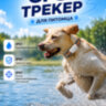 GPS трекер - ошейник для кошек и собак, G182 | фото 6 GPS трекер - ошейник для кошек и собак, G182 | фото 6